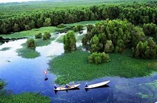Adoptan en Vietnam medidas para preservar la biodiversidad de parque nacional