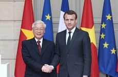 Vietnam es socio natural de Francia, analizan expertos 
