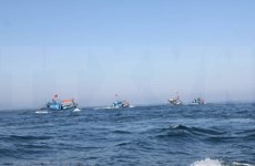 Prohibición temporal de China de pesca en el Mar del Este carece de validez, según ministerio vietnamita