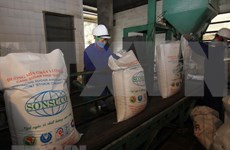 Industria azucarera de Vietnam avanza hacia la sostenibilidad