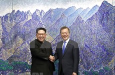 Congratula Vietnam éxito de la Cumbre Intercoreana
