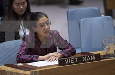 Vietnam exhorta a Consejo de Seguridad de ONU a resolver conflicto israelí-palestino