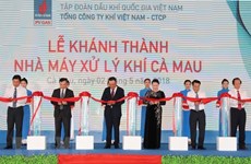 Presidenta parlamentaria de Vietnam asiste a la inauguración de planta procesadora de gas en Ca Mau