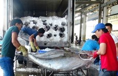 Cruzada contra la pesca ilegal, misión permanente de Vietnam