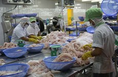 Provincia survietnamita incrementa exportaciones de arroz y pescado Tra 