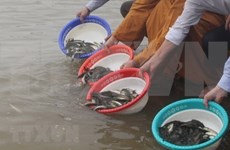 Vietnam y China por mantener sostenibilidad de recursos acuáticos en Golfo Bac Bo 