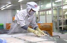  Exportadores de pescado Tra vietnamita tienden a ampliar el mercado de ASEAN