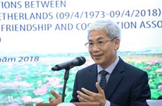 Experimentan buenas relaciones multifacéticas Vietnam y Países Bajos 