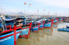 Global Policy destaca esfuerzos vietnamitas para controlar la pesca ilegal   
