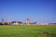 Refinería de petrolero Dung Quat entre plantas más verdes de Vietnam 