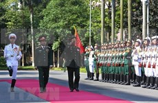 Ejércitos de Vietnam y de Laos fomentan cooperación