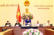 Comité Permanente de la Asamblea Nacional de Vietnam analiza informe del Gobierno