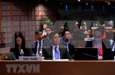 Vietnam exhorta a mantener la paz para eliminar la desigualdad social 