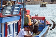 Ciudad vietnamita de Da Nang refuerza lucha contra la pesca ilegal  
