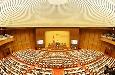 Electores vietnamitas destacan la renovación de las sesiones parlamentarias