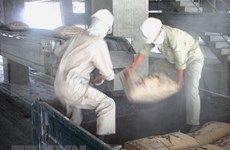 Buenas señales para la exportación de materiales de construcción de Vietnam