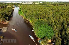Delta del Mekong necesita una nueva visión del desarrollo turístico