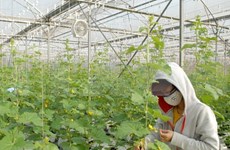Sudcorea y provincia survietnamita firman acuerdo sobre uso de bioproductos