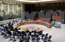 Vietnam, único representante de Asia-Pacífico para candidatura al Consejo de Seguridad de la ONU