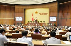 Parlamento de Vietnam analiza uso de bienes estatales en empresas  
