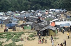 Decenas de refugiados rohingyas aspiran a regresar a Myanmar