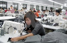 Más de mil nuevas empresas establecidas en mayo en Vietnam