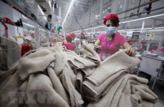 Industria de confección textil de Vietnam reporta crecimiento en mercados tradicionales