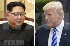 Corea del Sur y Japón enviarán funcionarios a próxima cumbre Trump- Kim