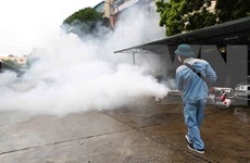 Tailandia enfrenta riesgo de un brote de dengue en el noreste del país