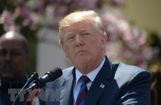 Donald Trump se retirarará antes de Cumbre G7 para reunión con líder norcoreano 