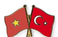 Nexos Vietnam-Turquía en los últimos 40 años, base para profundizar cooperación bilateral