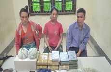 Desmantelan red de tráfico de drogas en frontera Vietnam-Laos
