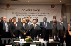 Mozambique resalta cooperación agrícola con Vietnam