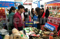Impulsan venta de productos vietnamitas en cadenas de distribución de AEON
