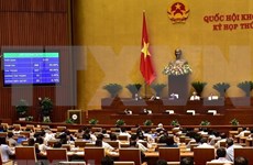 Ley de Ciberseguridad de Vietnam no interfiere actividades de empresas y pobladores, afirma especialista