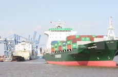 Atraca buque portacontenedores MSC Rosaria en  puerto vietnamita 