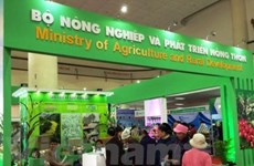Feria Internacional de Agricultura tendrá lugar en ciudad vietnamita de Da Nang