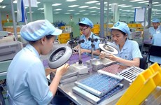 Vietnam por elevar capacitación de recursos humanos en empresas de inversión extranjera