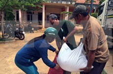 Vietnam aprueba programa de acción nacional para erradicar el hambre