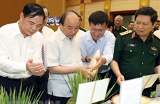 Premier vietnamita resalta efectividad del proyecto de modernización agrícola