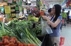  Empresas vietnamitas se actualizan sobre  nuevas regulaciones del mercado sudcoreano