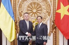 Vietnam y Ucrania realizan consulta política a nivel de vicecanciller