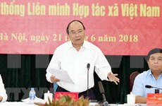 Premier de Vietnam resalta papel de cooperativas en integración global 