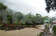 Inundaciones causan pérdidas humanas y materiales a la provincia norvietnamita