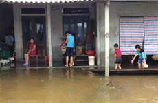Vietnam apunta reforzar la adaptación al cambio climático y refuerza medidas contra desastres