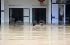 Premier de Vietnam insta a redoblar esfuerzos para mitigar efectos de inundaciones  
