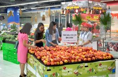 Ciudad Ho Chi Minh aspira a convertirse en centro comercial estratégico en el Sudeste Asiático