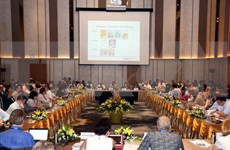 Vietnam organiza varias actividades en el marco de GEF-6