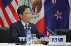 Vietnam y Japón reiteran compromiso con cooperación en el marco de CPTPP  