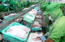 Nuevas oportunidades para exportación de pescado Tra de Vietnam a China 